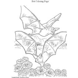 着色页: 蝙蝠 (动物) #2027 - 免费可打印着色页