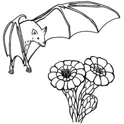 着色页: 蝙蝠 (动物) #2031 - 免费可打印着色页