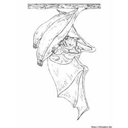 着色页: 蝙蝠 (动物) #2060 - 免费可打印着色页