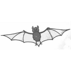 着色页: 蝙蝠 (动物) #2148 - 免费可打印着色页