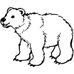 着色页: 熊 (动物) #12184 - 免费可打印着色页