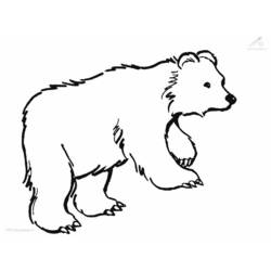 着色页: 熊 (动物) #12188 - 免费可打印着色页