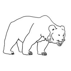 着色页: 熊 (动物) #12189 - 免费可打印着色页