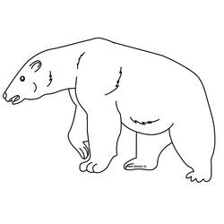 着色页: 熊 (动物) #12201 - 免费可打印着色页