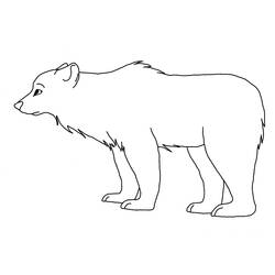 着色页: 熊 (动物) #12202 - 免费可打印着色页