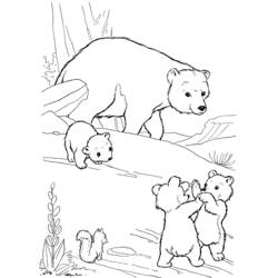 着色页: 熊 (动物) #12207 - 免费可打印着色页