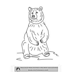 着色页: 熊 (动物) #12223 - 免费可打印着色页