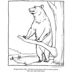 着色页: 熊 (动物) #12227 - 免费可打印着色页