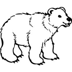 着色页: 熊 (动物) #12229 - 免费可打印着色页