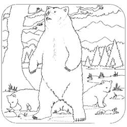 着色页: 熊 (动物) #12235 - 免费可打印着色页