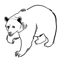 着色页: 熊 (动物) #12240 - 免费可打印着色页