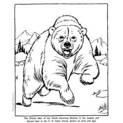 着色页: 熊 (动物) #12293 - 免费可打印着色页