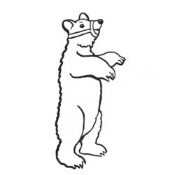着色页: 熊 (动物) #12327 - 免费可打印着色页