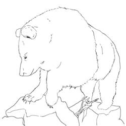 着色页: 熊 (动物) #12368 - 免费可打印着色页