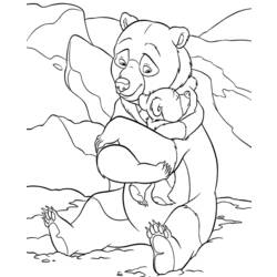 着色页: 熊 (动物) #12383 - 免费可打印着色页