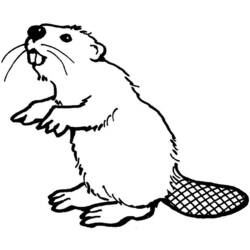 着色页: 海狸 (动物) #1571 - 免费可打印着色页