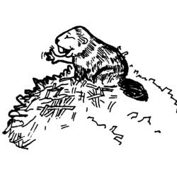 着色页: 海狸 (动物) #1590 - 免费可打印着色页