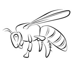着色页: 蜜蜂 (动物) #101 - 免费可打印着色页