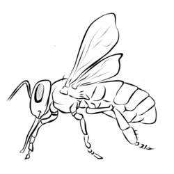 着色页: 蜜蜂 (动物) #125 - 免费可打印着色页