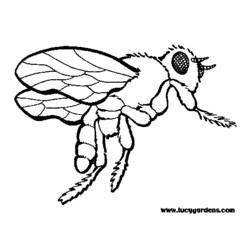 着色页: 蜜蜂 (动物) #161 - 免费可打印着色页