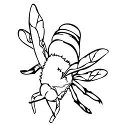 着色页: 蜜蜂 (动物) #82 - 免费可打印着色页