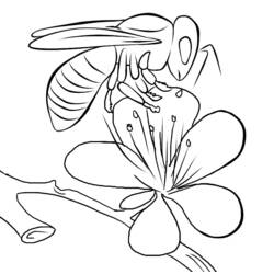 着色页: 蜜蜂 (动物) #83 - 免费可打印着色页