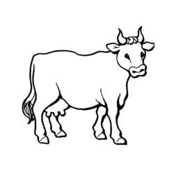 着色页: 牛肉 (动物) #1340 - 免费可打印着色页
