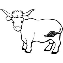 着色页: 牛肉 (动物) #1342 - 免费可打印着色页