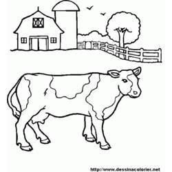 着色页: 牛肉 (动物) #1347 - 免费可打印着色页