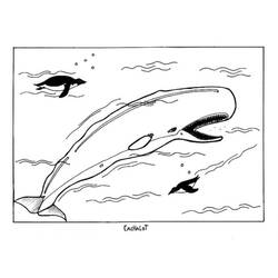 着色页: 白鲸 (动物) #1046 - 免费可打印着色页