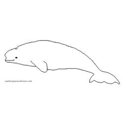 着色页: 白鲸 (动物) #1063 - 免费可打印着色页