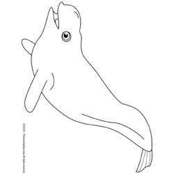 着色页: 白鲸 (动物) #1064 - 免费可打印着色页