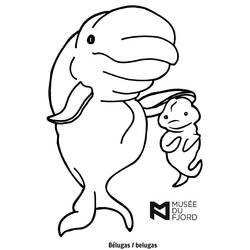 着色页: 白鲸 (动物) #1065 - 免费可打印着色页