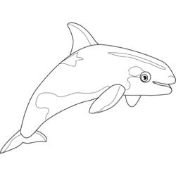 着色页: 白鲸 (动物) #1073 - 免费可打印着色页