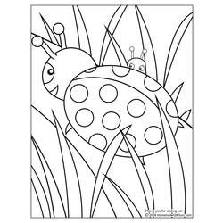 着色页: 瓢虫 (动物) #3392 - 免费可打印着色页