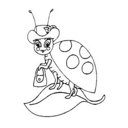 着色页: 瓢虫 (动物) #3446 - 免费可打印着色页