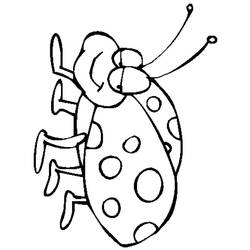着色页: 瓢虫 (动物) #3475 - 免费可打印着色页
