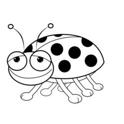 着色页: 瓢虫 (动物) #3502 - 免费可打印着色页