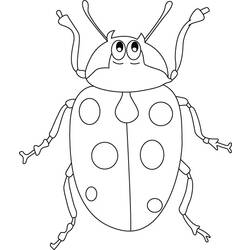着色页: 瓢虫 (动物) #3580 - 免费可打印着色页