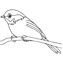 着色页: 鸟类 (动物) #11840 - 免费可打印着色页