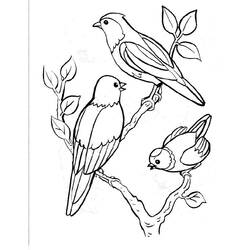 着色页: 鸟类 (动物) #11841 - 免费可打印着色页