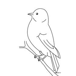 着色页: 鸟类 (动物) #11844 - 免费可打印着色页