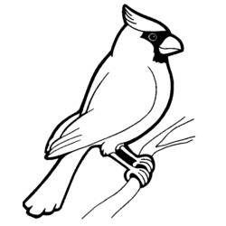 着色页: 鸟类 (动物) #11846 - 免费可打印着色页