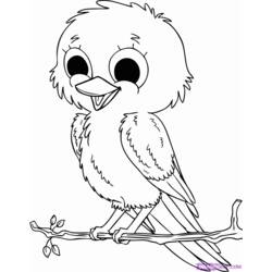着色页: 鸟类 (动物) #11849 - 免费可打印着色页