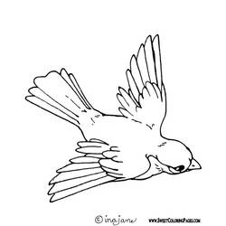 着色页: 鸟类 (动物) #11874 - 免费可打印着色页