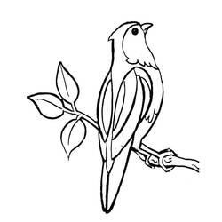 着色页: 鸟类 (动物) #11893 - 免费可打印着色页