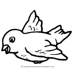 着色页: 鸟类 (动物) #11904 - 免费可打印着色页