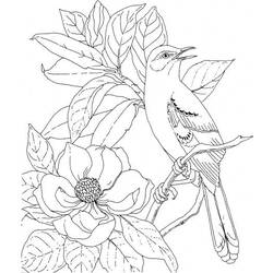 着色页: 鸟类 (动物) #11943 - 免费可打印着色页
