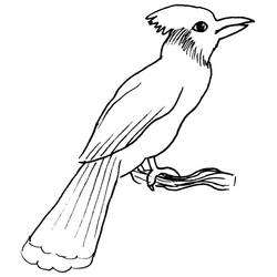 着色页: 鸟类 (动物) #11947 - 免费可打印着色页