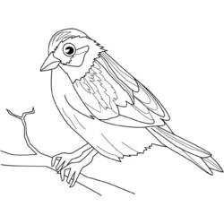 着色页: 鸟类 (动物) #11961 - 免费可打印着色页
